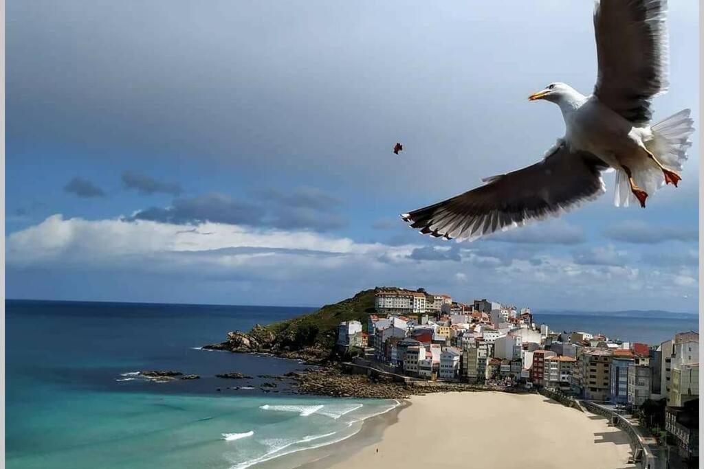 Sisargas Malpica